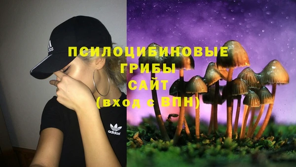 spice Алексин
